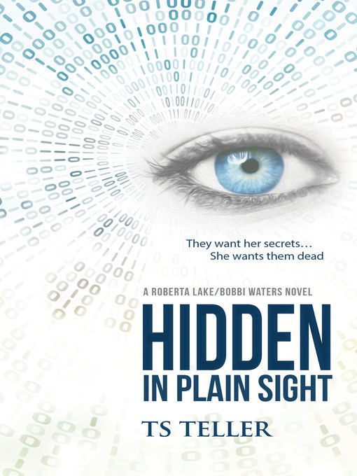 Title details for Hidden in Plain Sight by T. S. Teller - Available